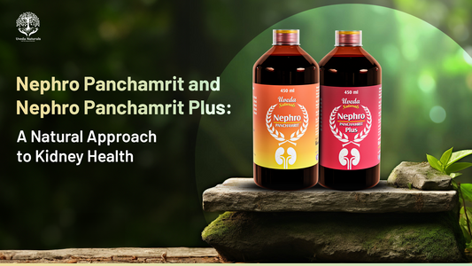 Nephro Panchamrit and Nephro Panchamrit Plus: A Natural Approach to Kidney Health