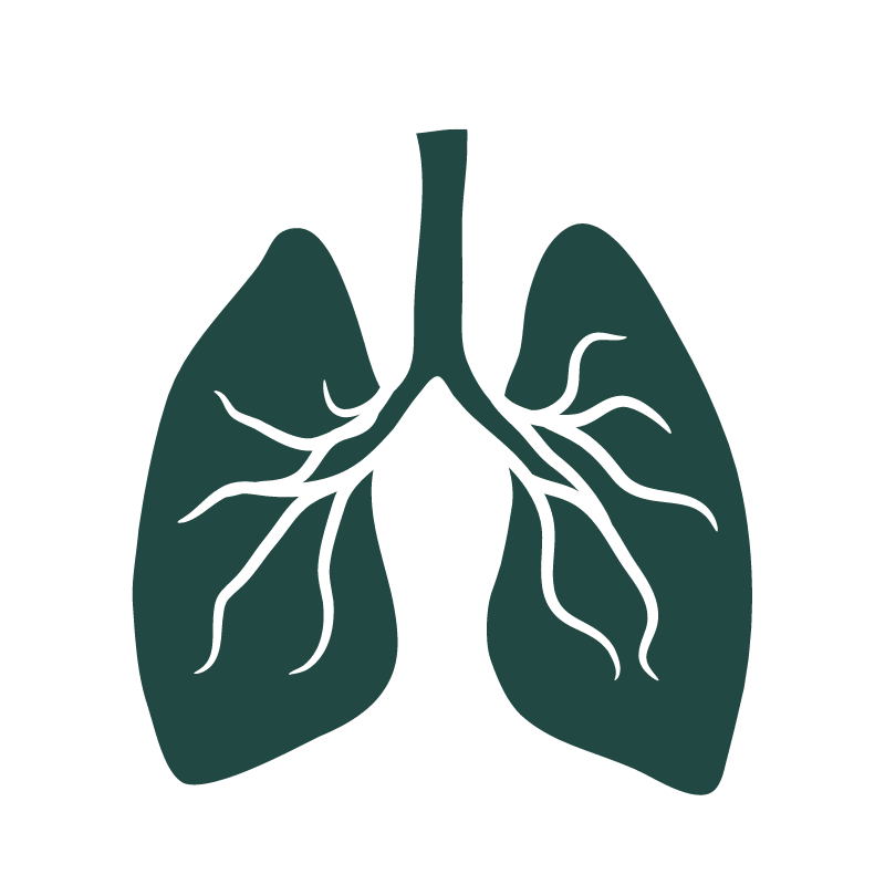 Lungs Wellness