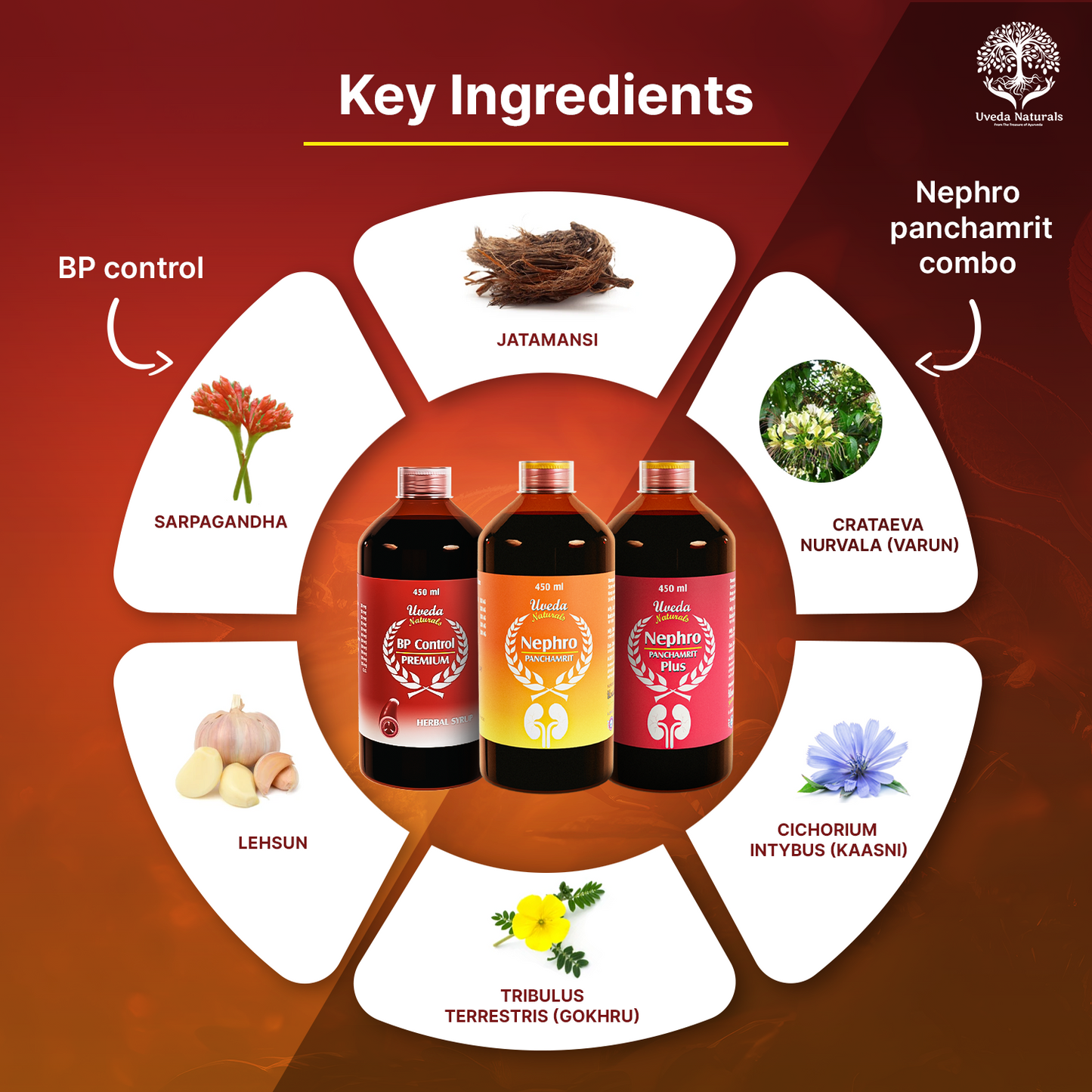 BP Control Premium, Nephro Panchamrit, and Nephro Panchamrit Plus Combo