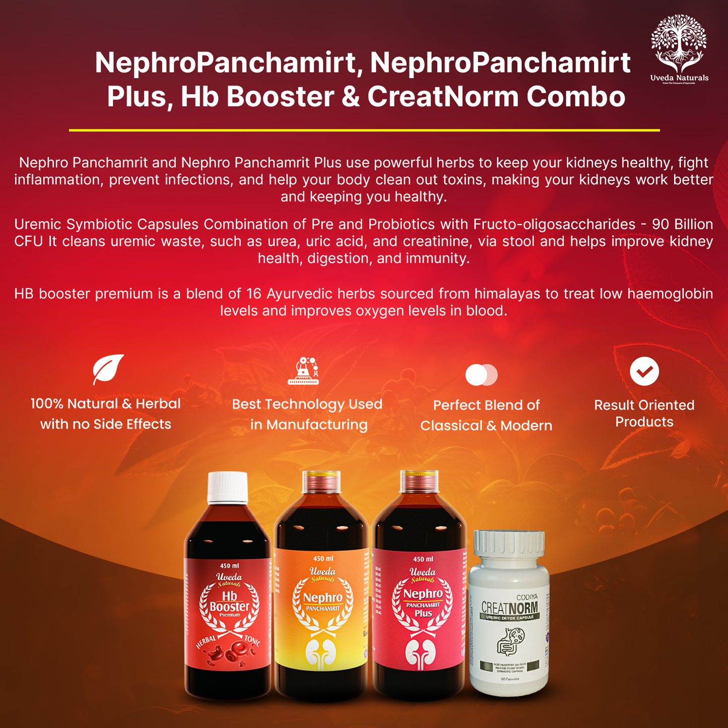 NephroPanchamirt, NephroPanchamirt Plus, Hb Booster & CreatNorm Combo