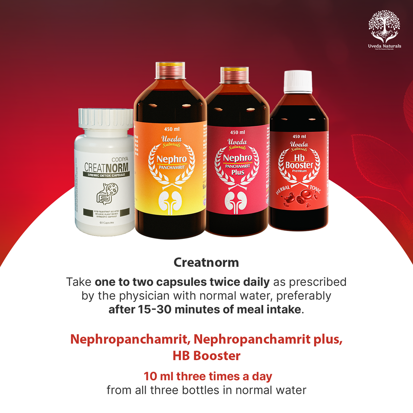 NephroPanchamirt, NephroPanchamirt Plus, Hb Booster & CreatNorm Combo