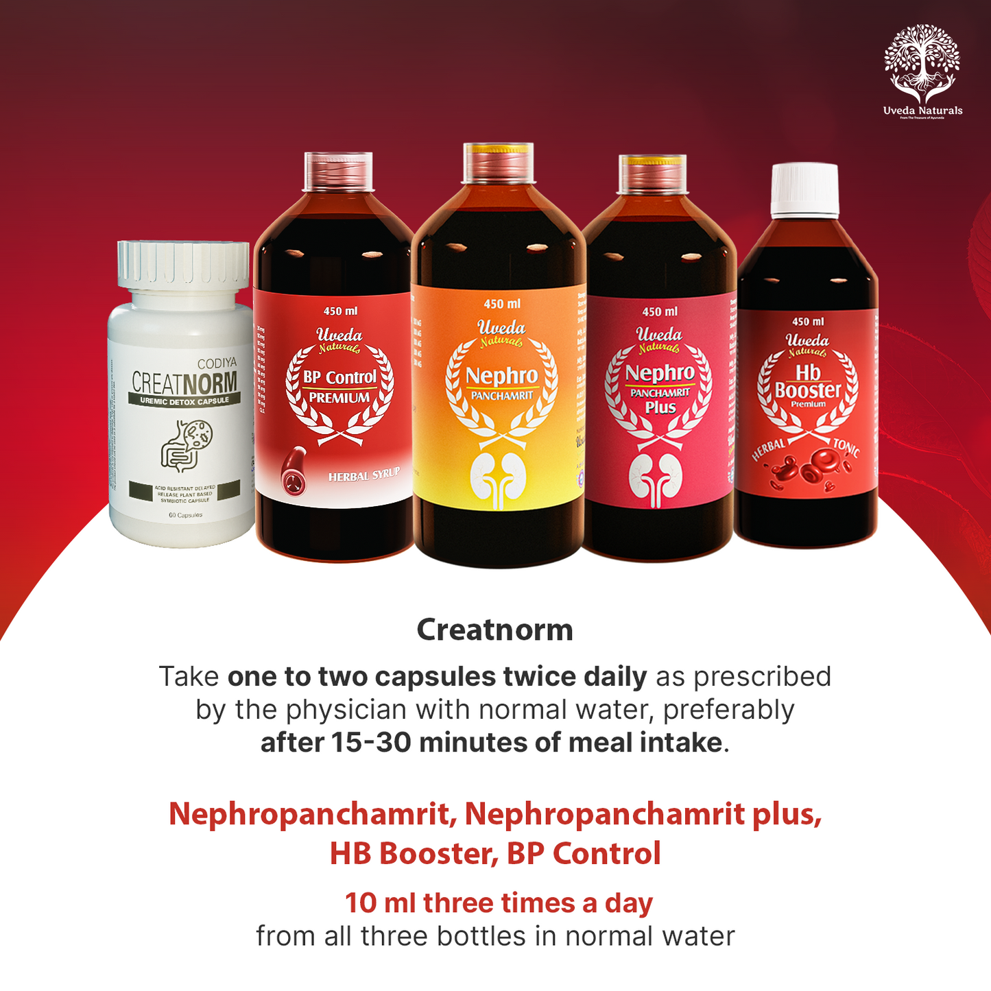 NephroPanchamirt, NephroPanchamirt Plus, Hb Booster, Bp Control & CreatNorm Combo