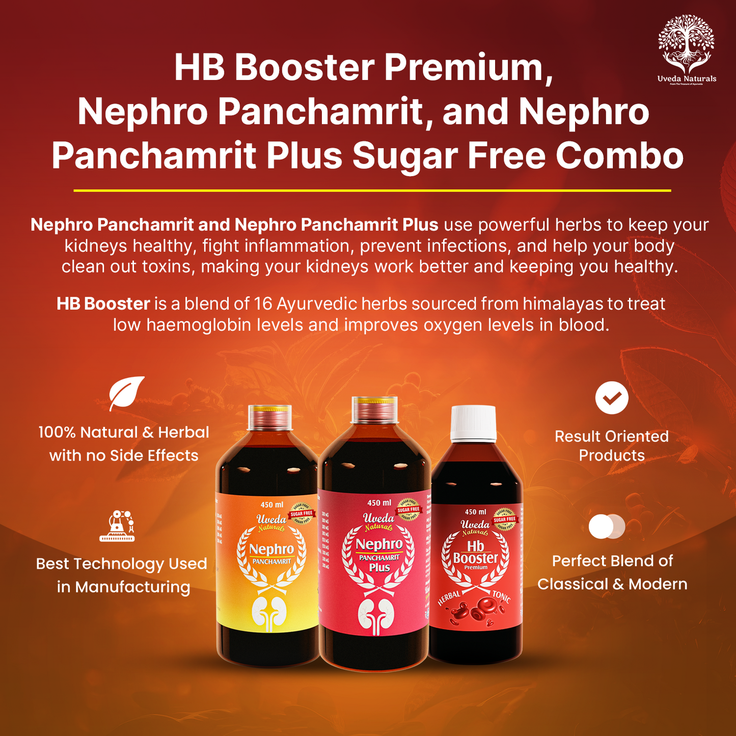 Nephro Panchamrit, Nephro Panchamrit Plus, and HB Booster Sugar Free Combo